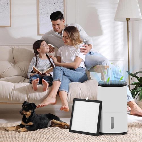 Pack hepa filter compatible - pack,